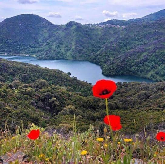 Вилла La Source 8 Ou 6 Couchages Valle d'Alesani Экстерьер фото